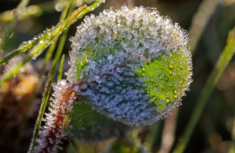 Meditation über Grace  9.11.2025