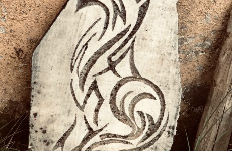 Terra Canis Hundesanktuarium braucht Unterstützung