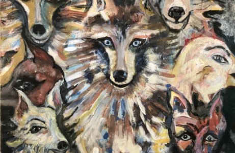 Extra Newsletter aus dem Hunde Sanktuarium Juni 2026