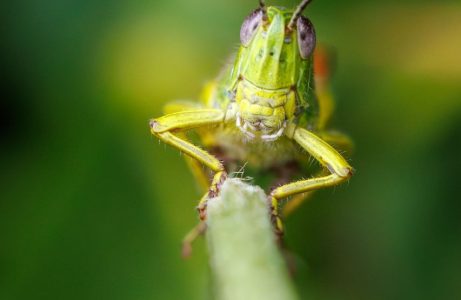 Compassion in action – Barbara Kovats