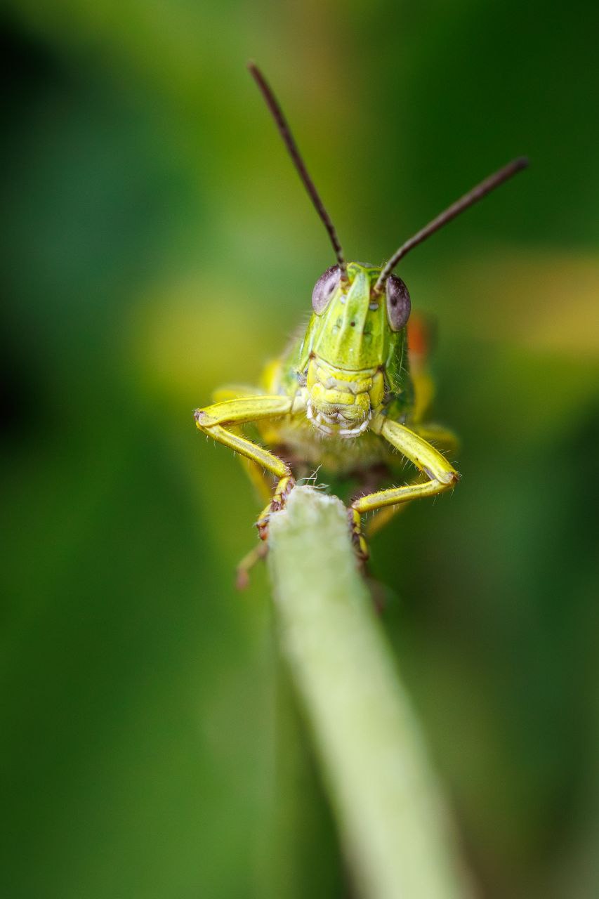 Compassion in action – Barbara Kovats